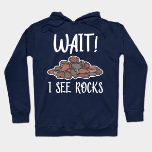 Wait! I See Rocks, Funny Geologist Hoodie